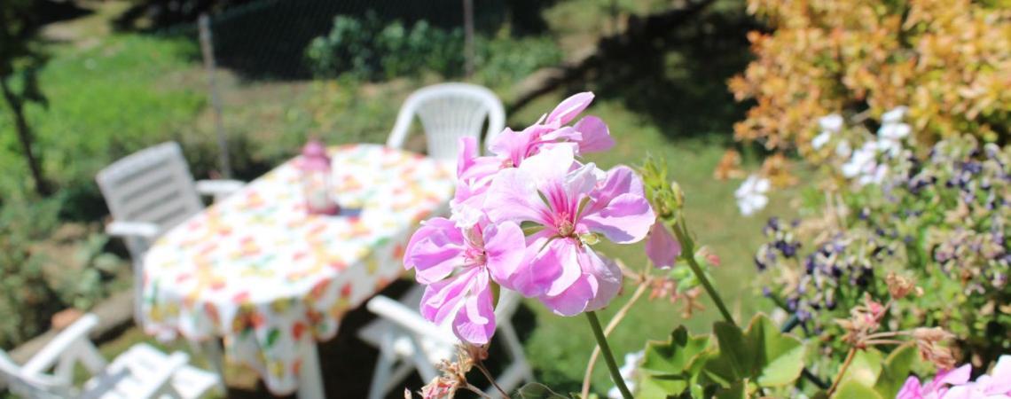 B&B Via Roma Cesate Exteriér fotografie